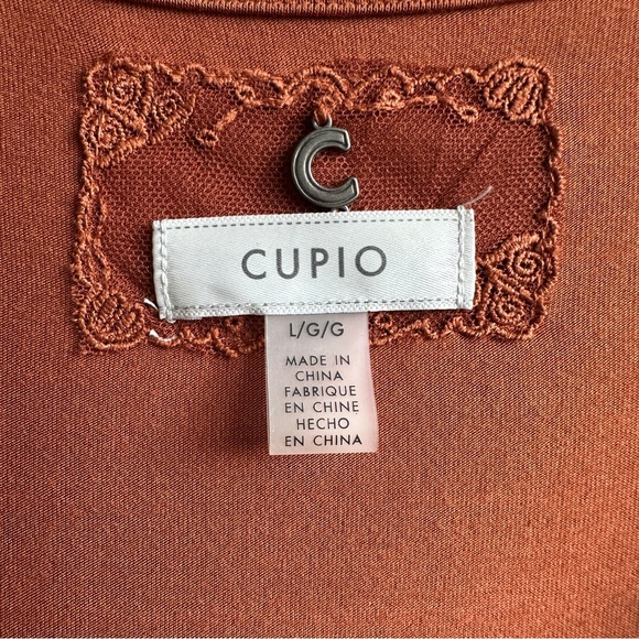 Cupio Rust Embroidered Flowy Long Sleeve Fall Swing Dress Sz Large - Picture 3 of 6